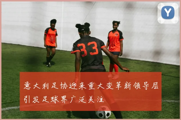 意大利足协迎来重大变革新领导层引发足球界广泛关注